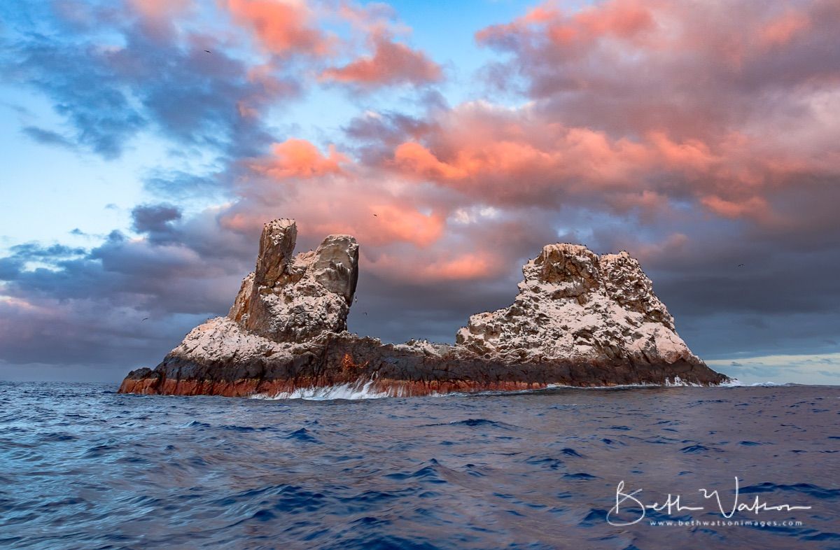 Socorro Liveaboard - Quino Del Mar 7