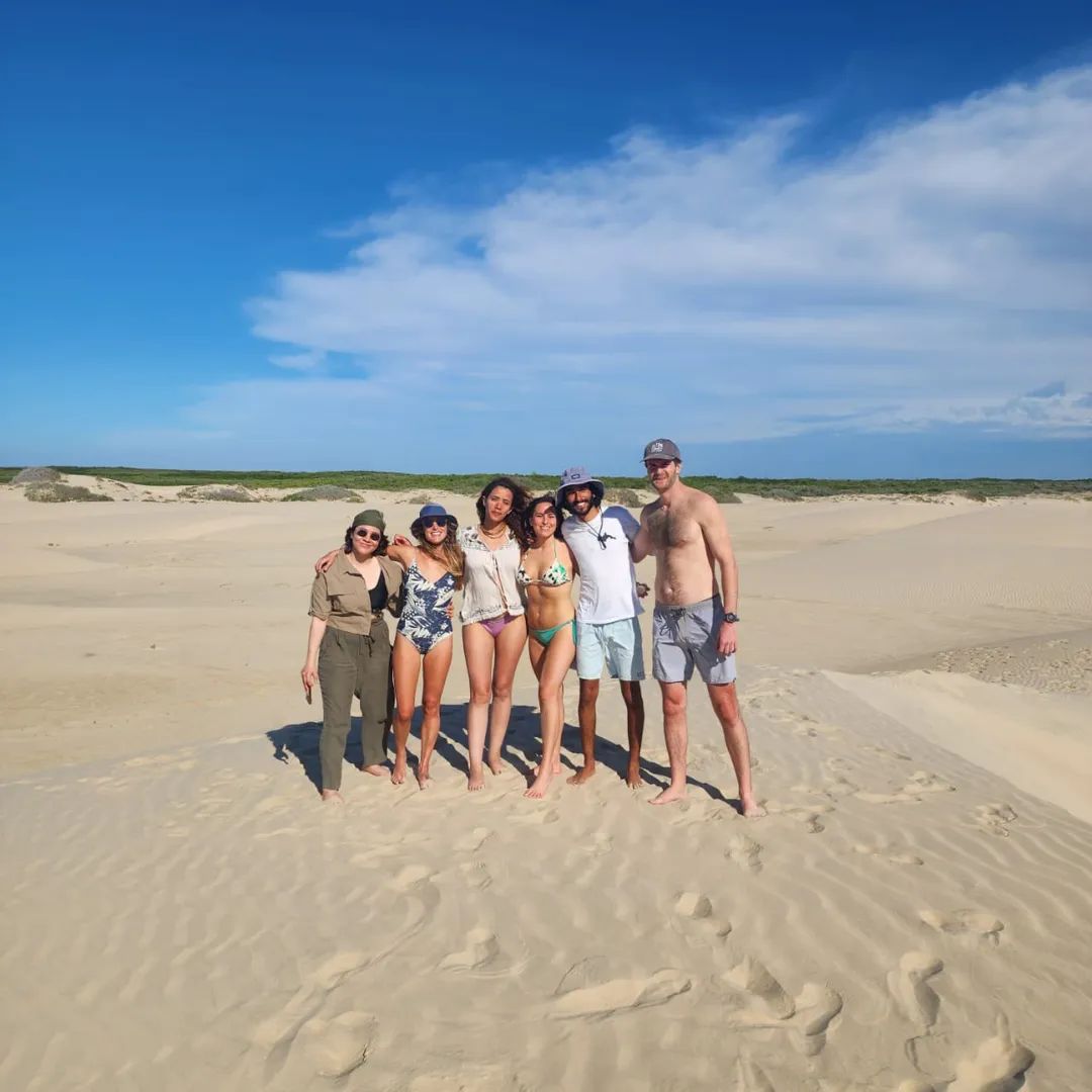 Marlins and Cetaceans in Magdalena Bay 10
