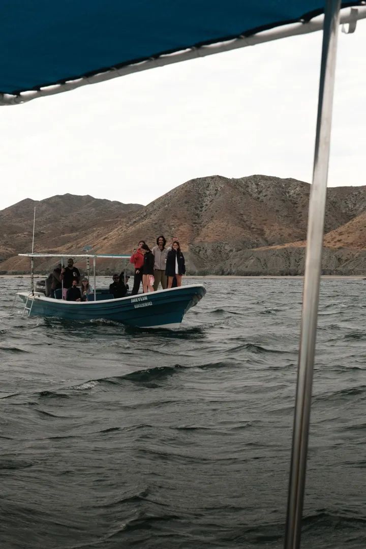 Gray Whales: Magdalena Bay Expedition 11