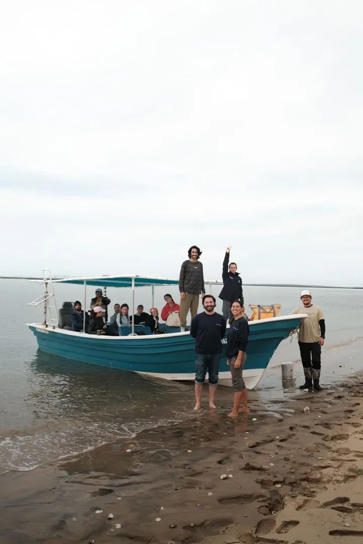 Gray Whales: Magdalena Bay Expedition 15