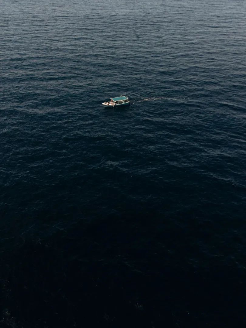 Gray Whales: Magdalena Bay Expedition 9