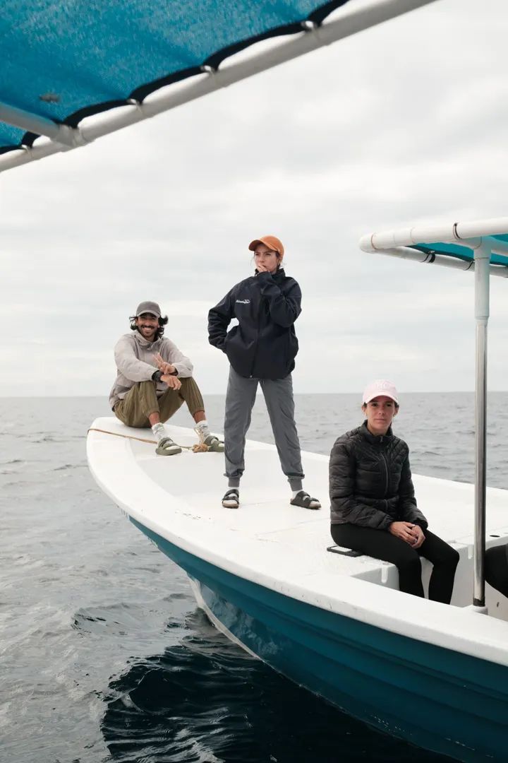 Gray Whales: Magdalena Bay Expedition 3