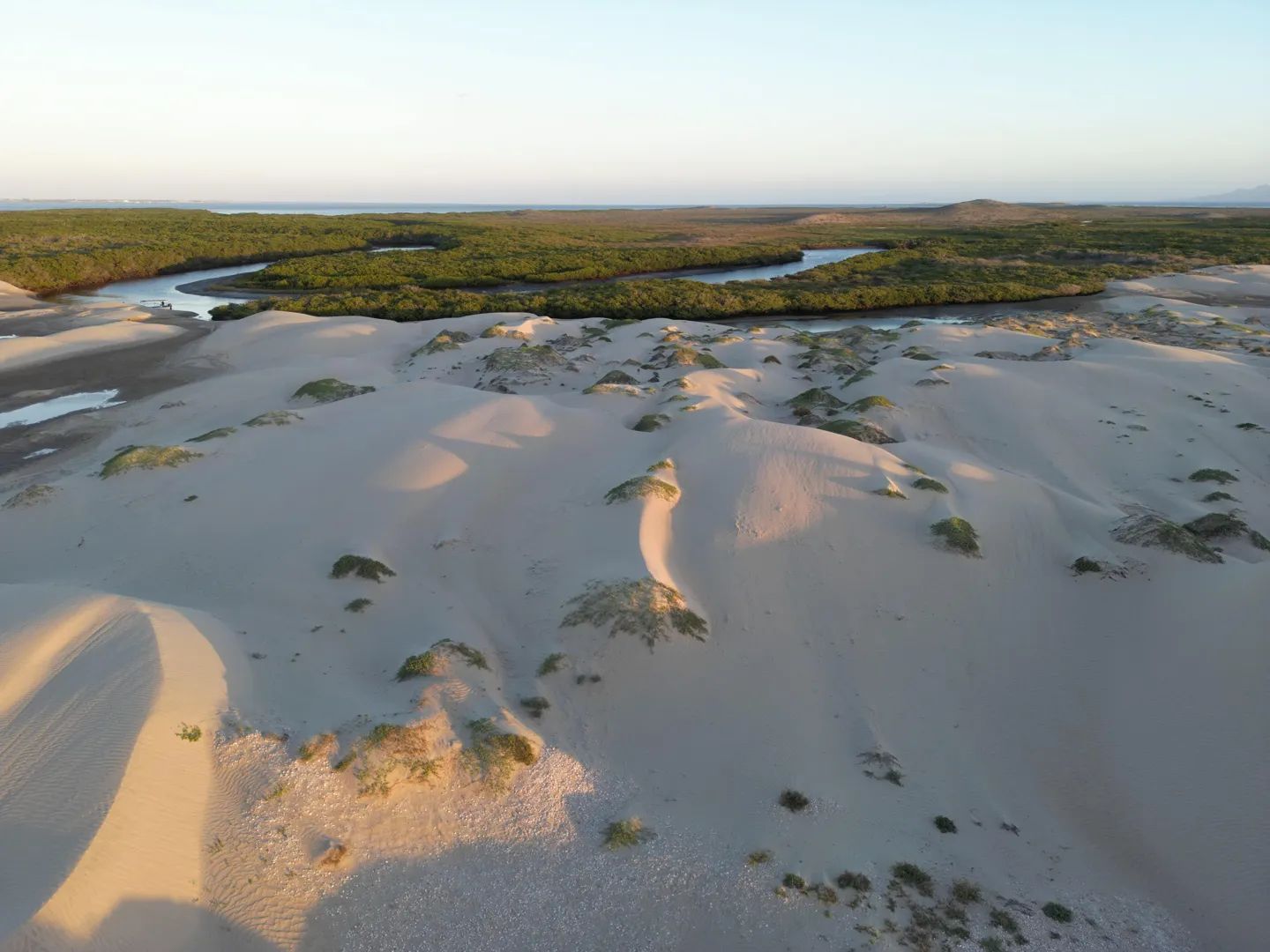 Gray Whales: Magdalena Bay Expedition 7