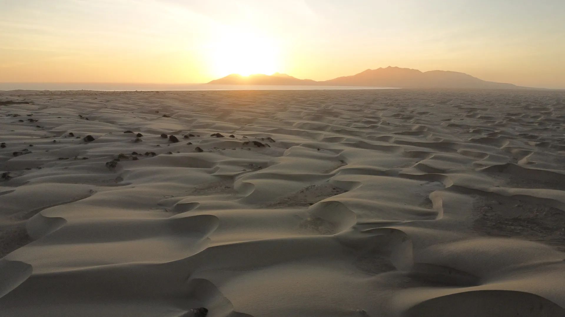 Marlins and Cetaceans in Magdalena Bay – Glamping 9