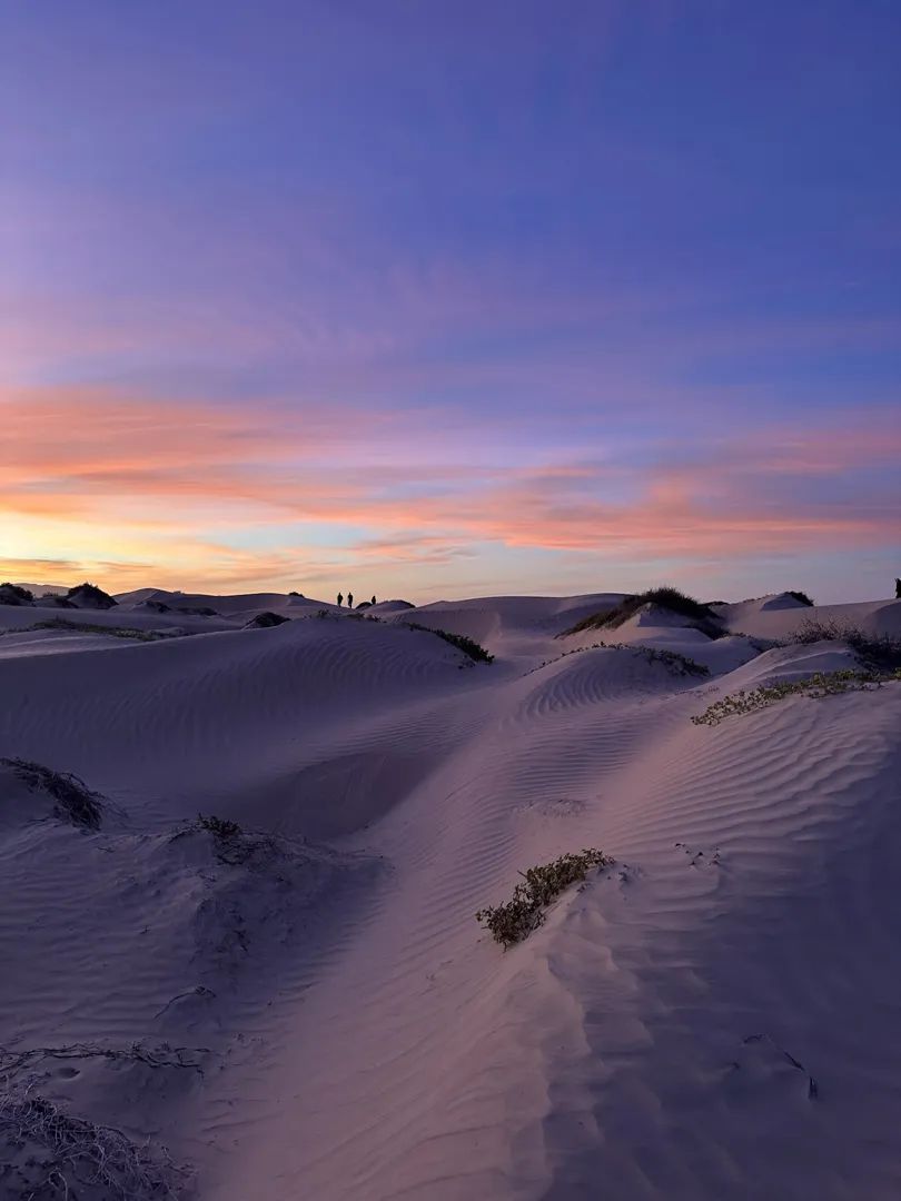 Marlins and Cetaceans in Magdalena Bay – Glamping 5