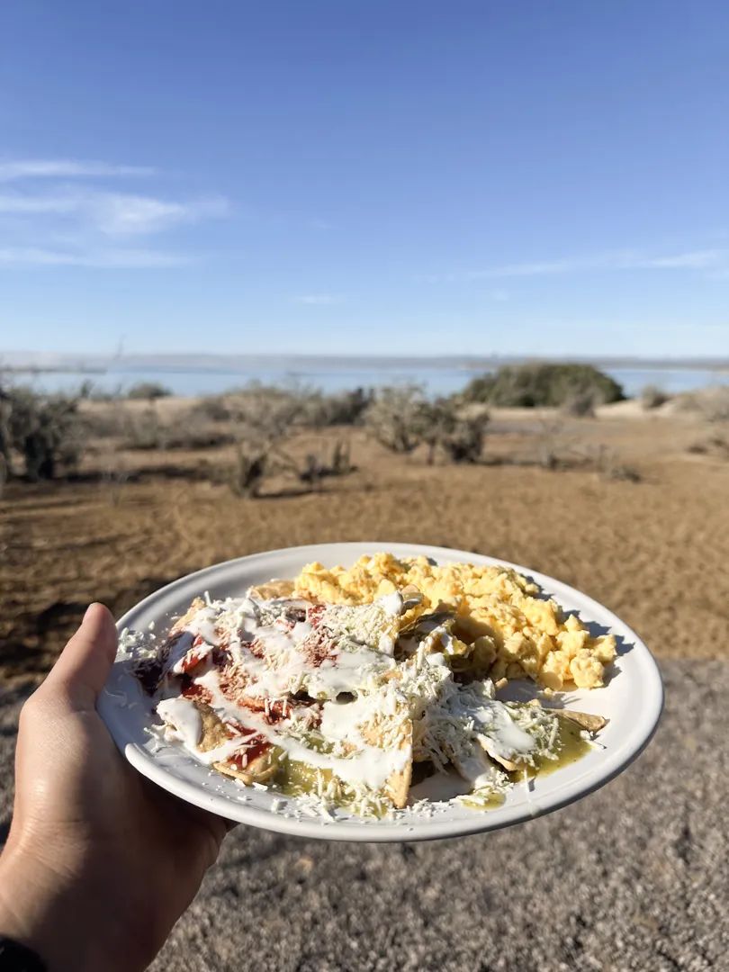 Marlins and Cetaceans in Magdalena Bay – Glamping 8