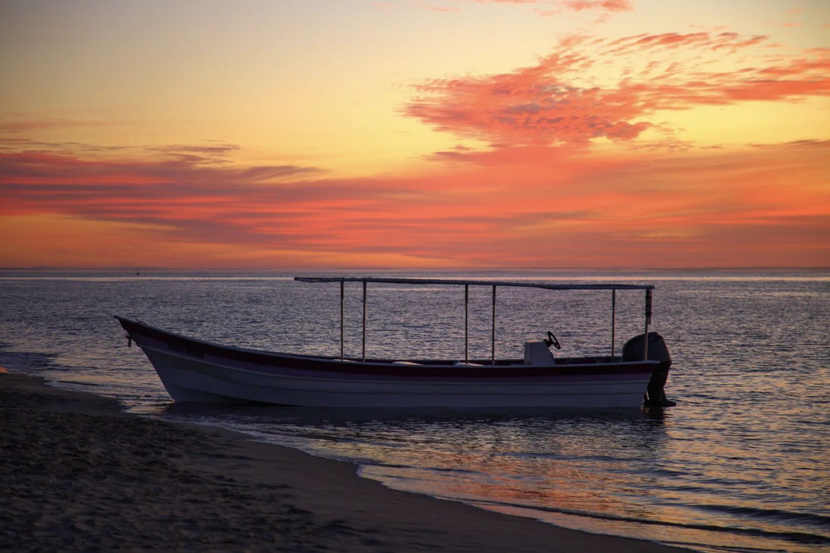 Marlins and Cetaceans in Magdalena Bay – Glamping 11