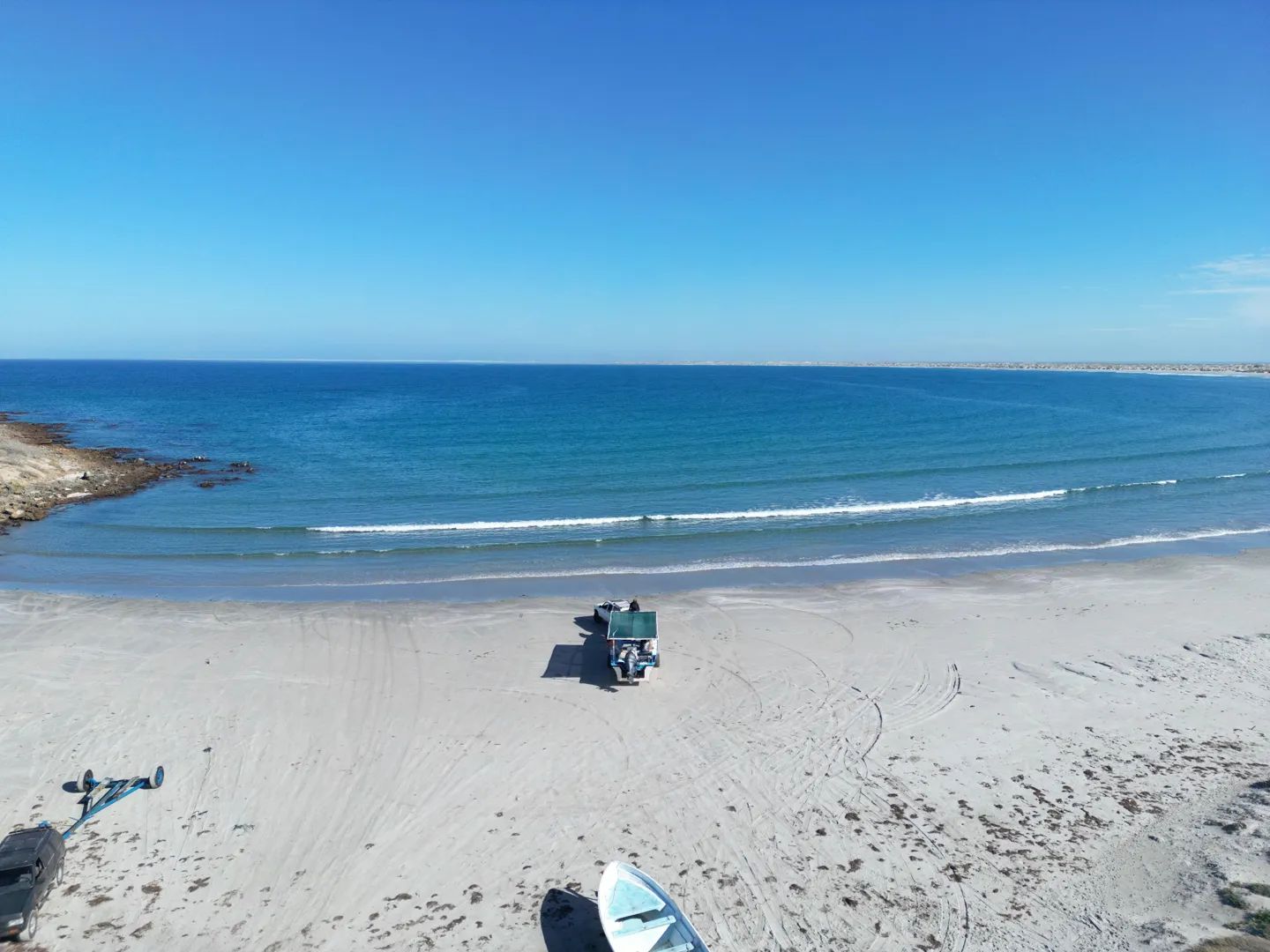 Marlins and Cetaceans in Magdalena Bay 8