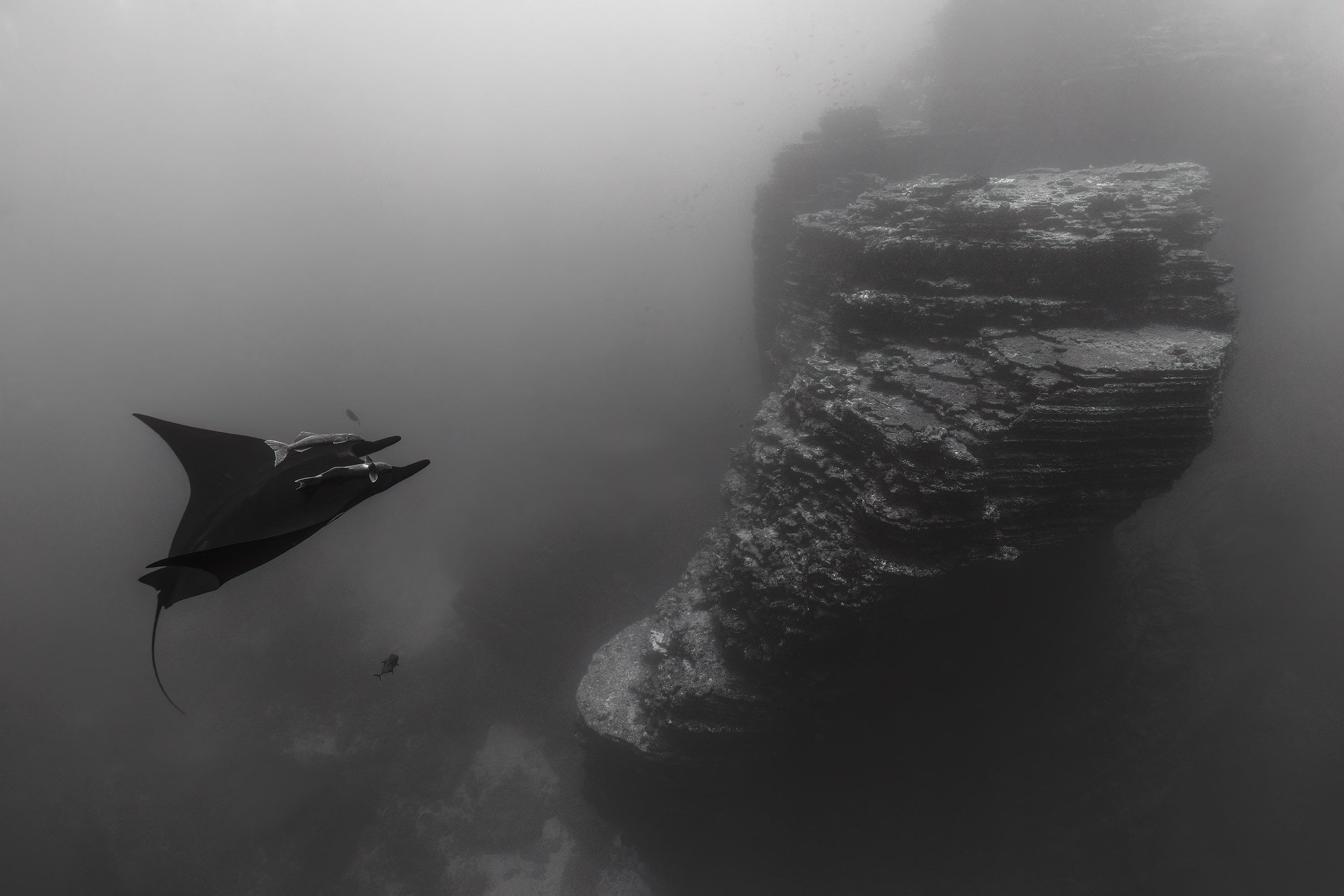 Socorro Liveaboard - Nautilus Belle Amie 7