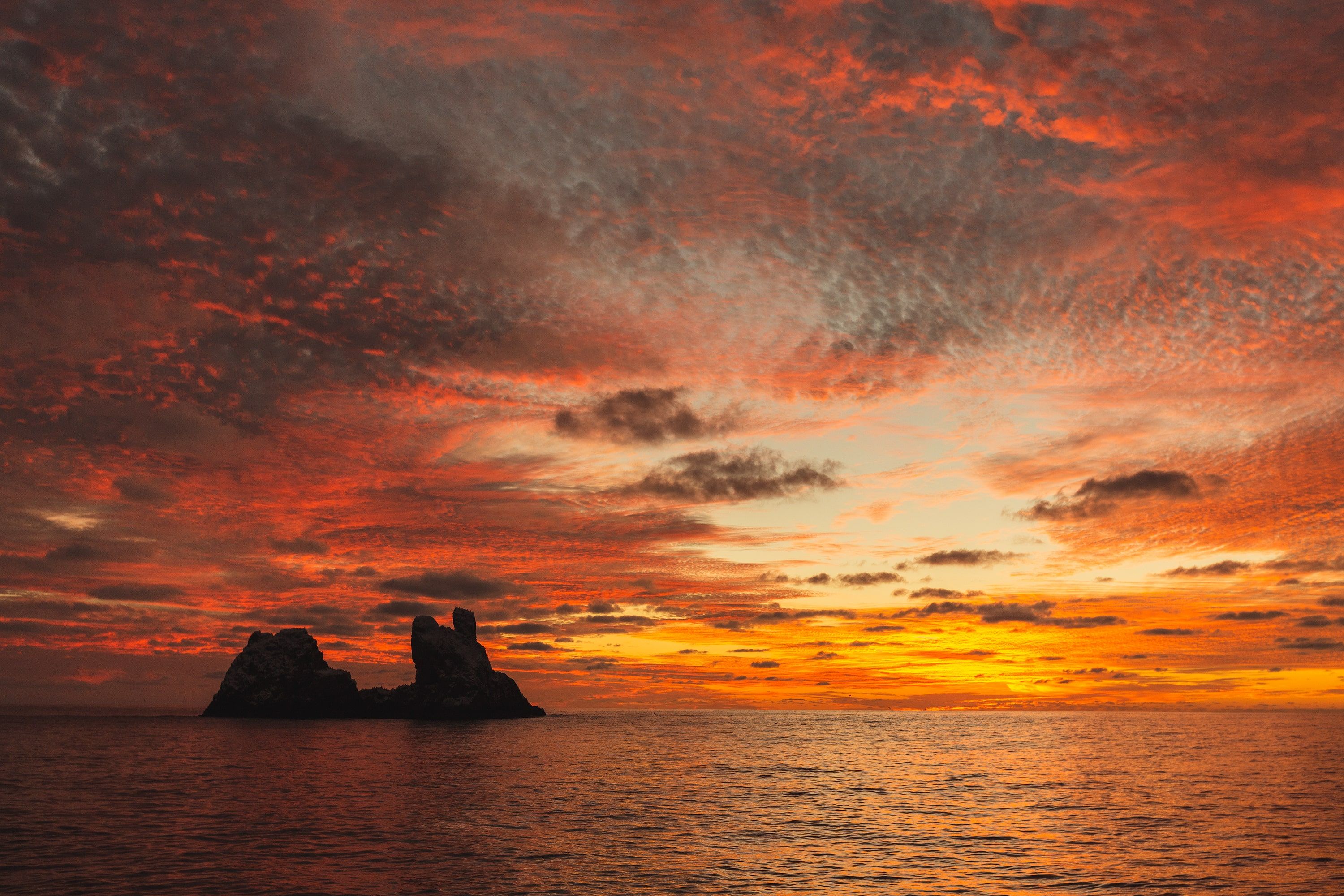 Socorro Liveaboard - Nautilus Belle Amie 5