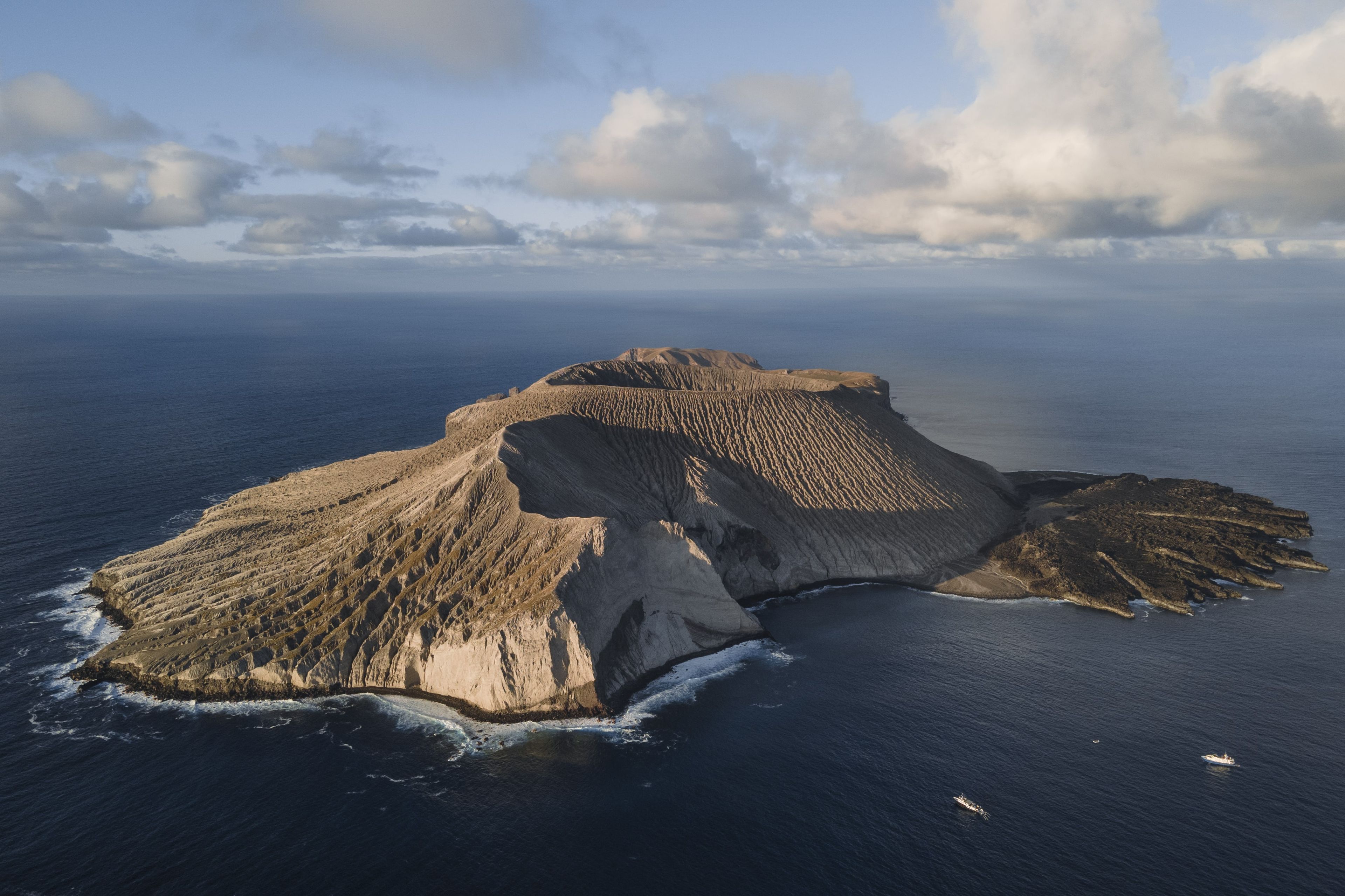 Socorro Liveaboard - Nautilus Belle Amie 2