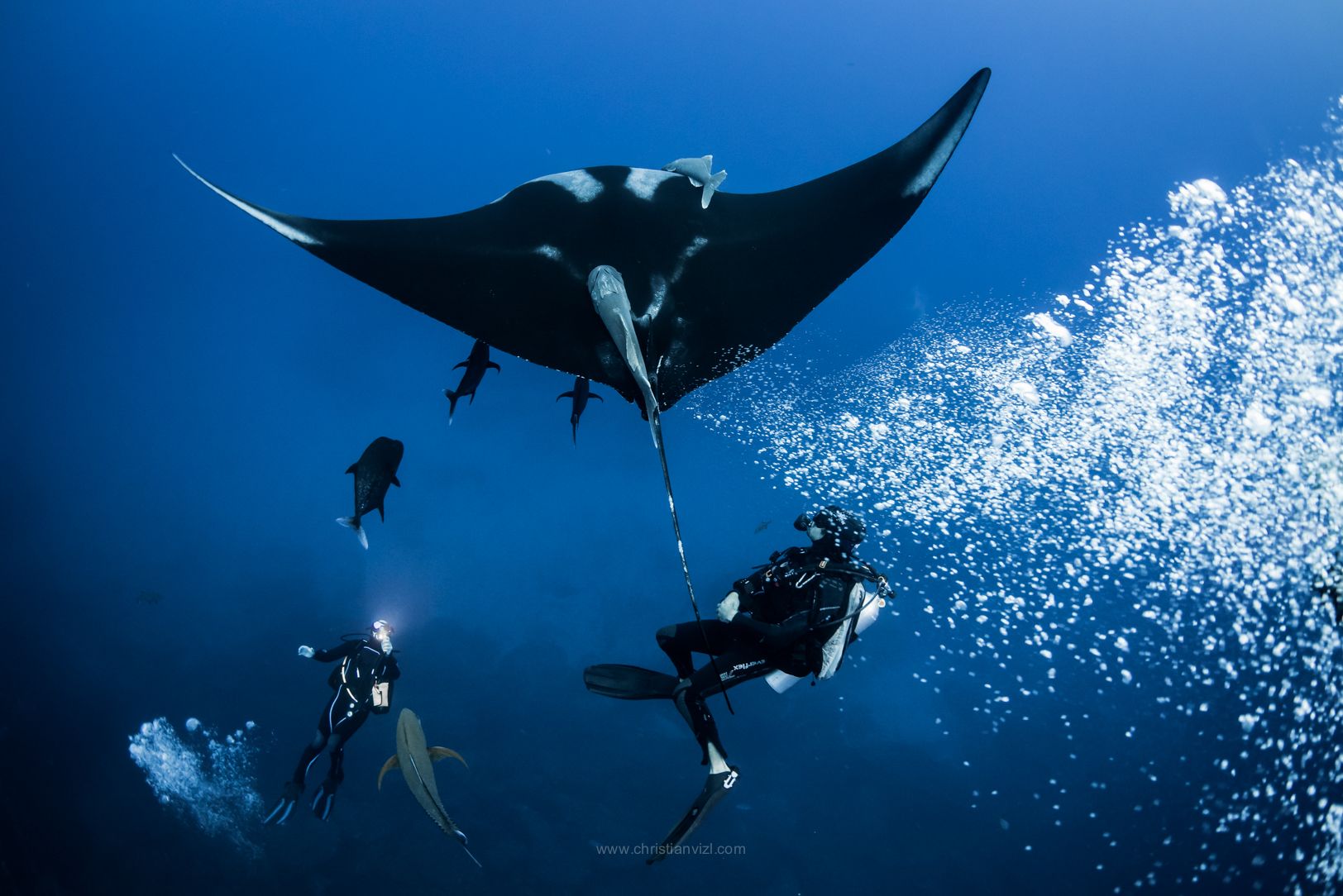 Socorro Liveaboard - Quino Del Mar 8