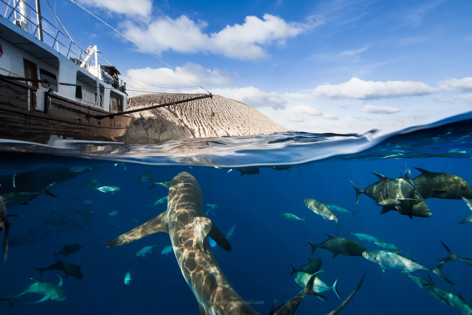 Socorro Liveaboard - Quino Del Mar 3