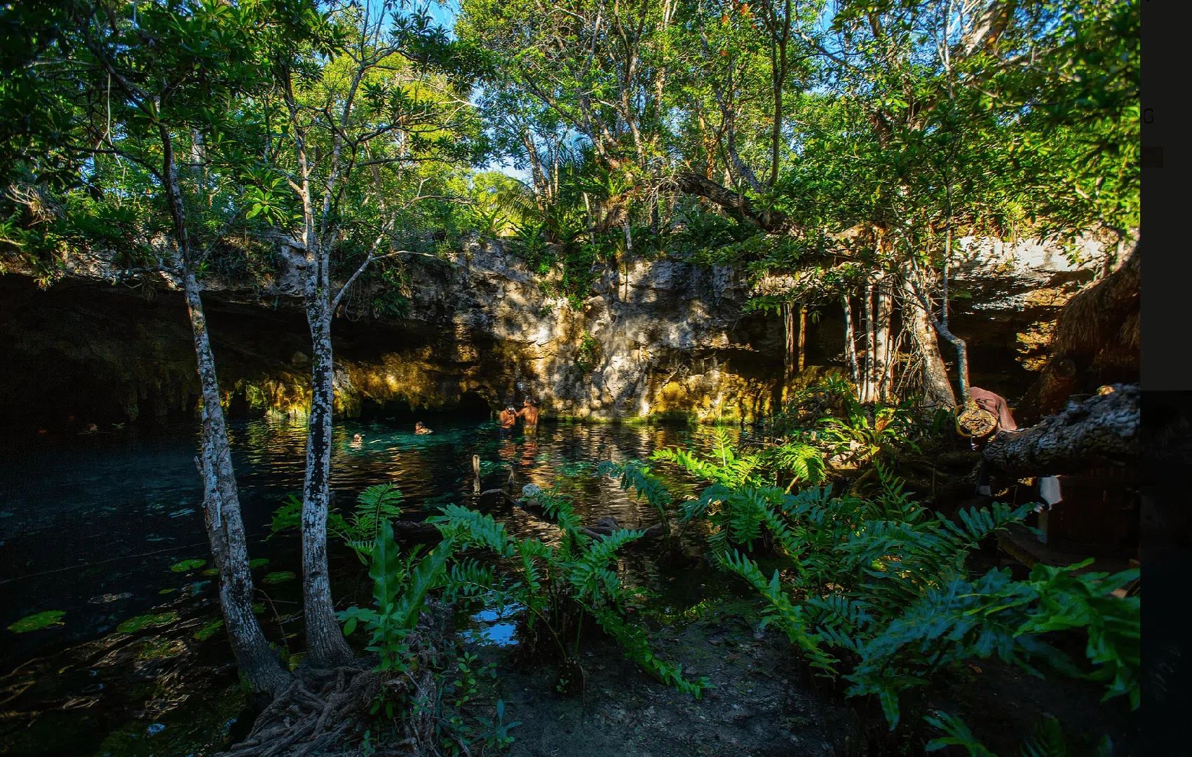 Aventura en los Cenotes 5