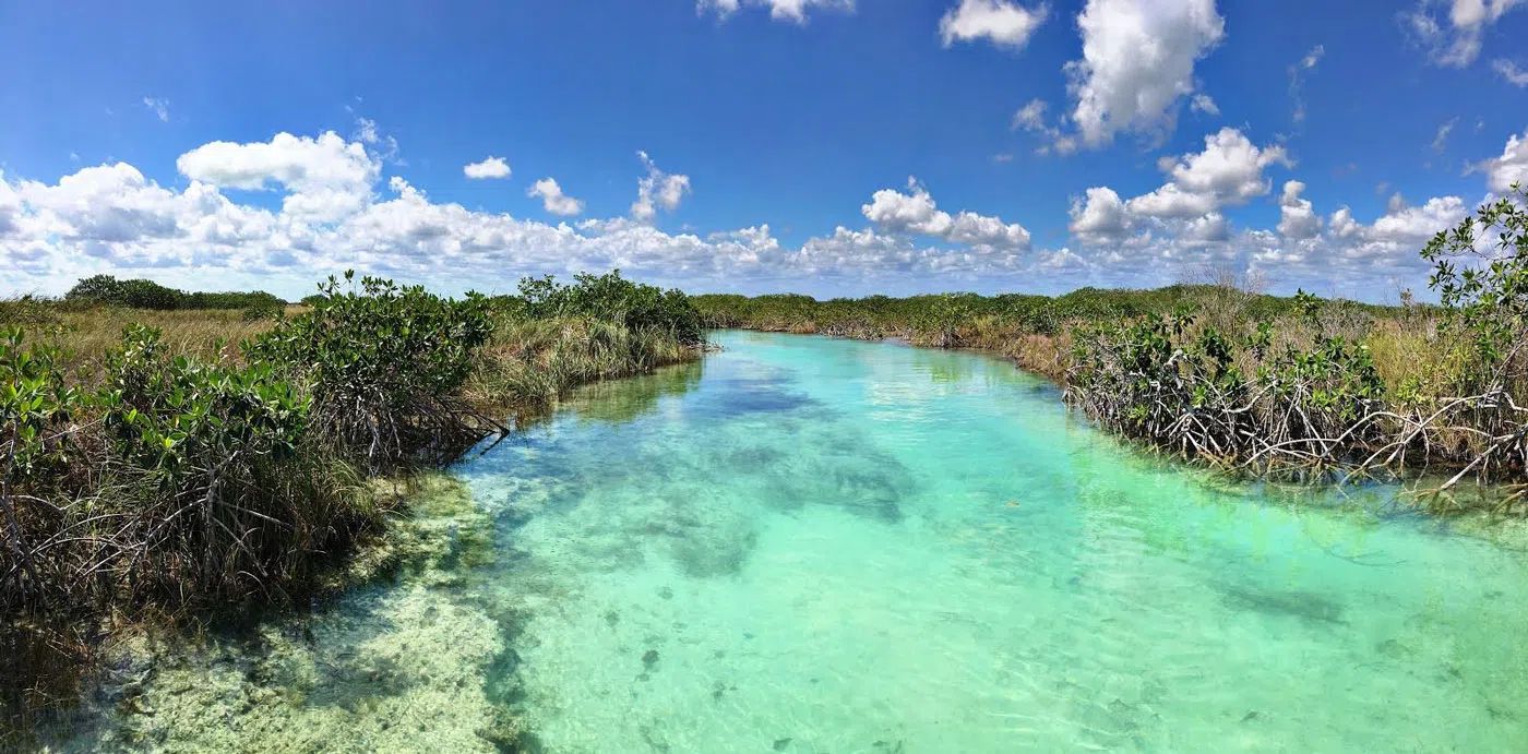 Sian Ka’an Muyil: Flotando en el Río Lento desde Tulum 4